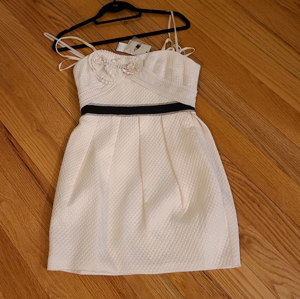 New BCBGMaxAzria Dress structure empire dress.